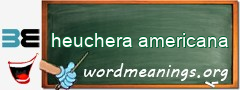 WordMeaning blackboard for heuchera americana